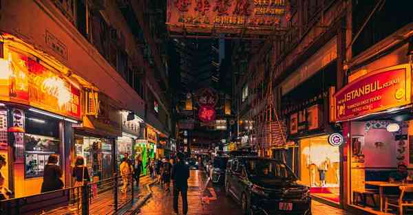 纸飞机官网