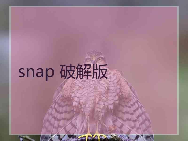 snap 破解版