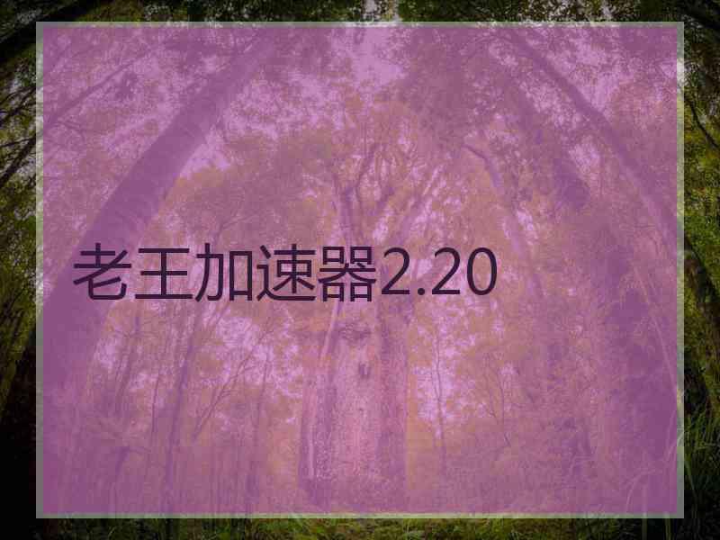 老王加速器2.20