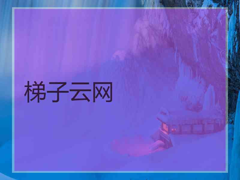 梯子云网