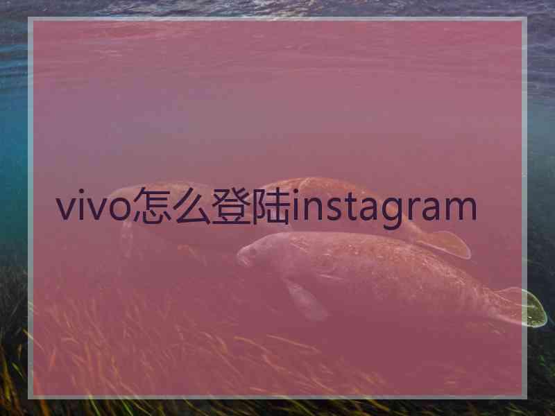 vivo怎么登陆instagram