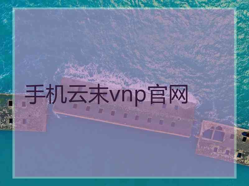 手机云末vnp官网