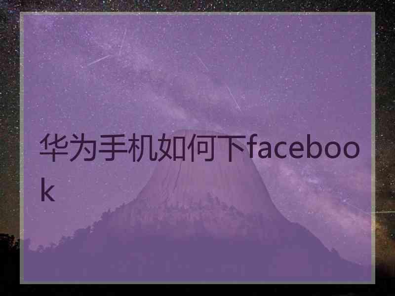 华为手机如何下facebook