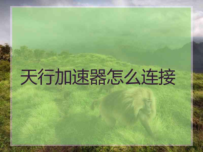 天行加速器怎么连接
