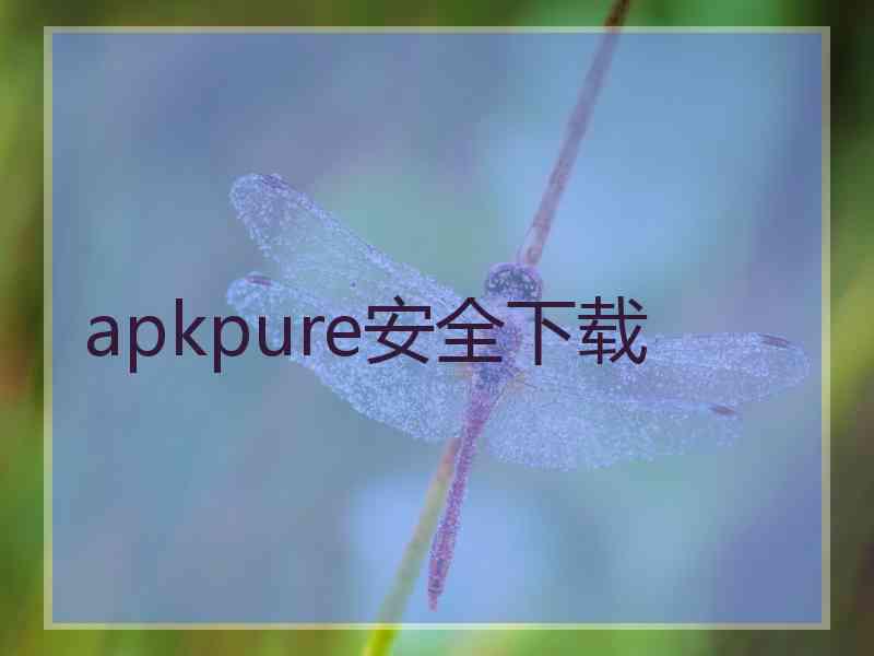 apkpure安全下载