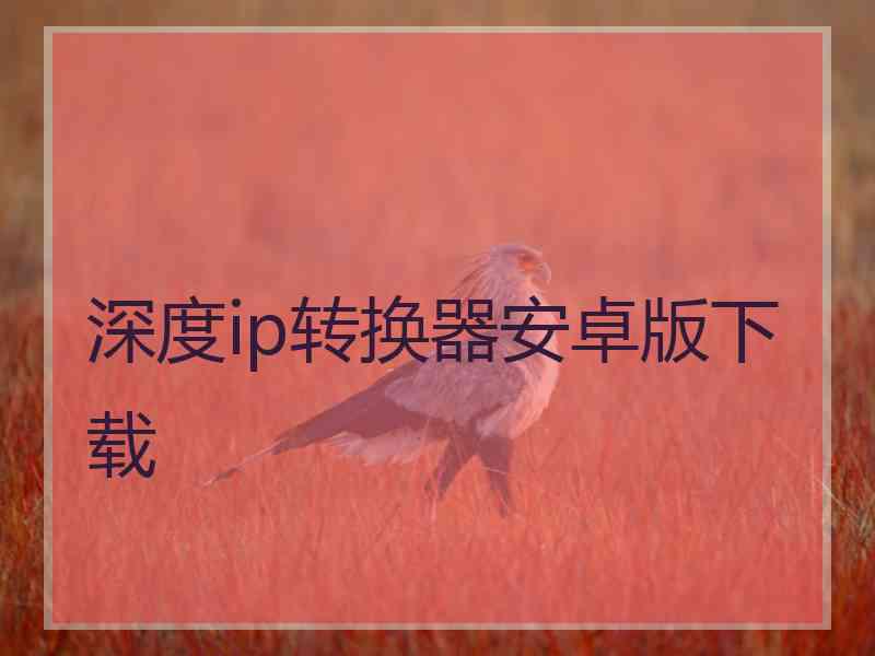 深度ip转换器安卓版下载