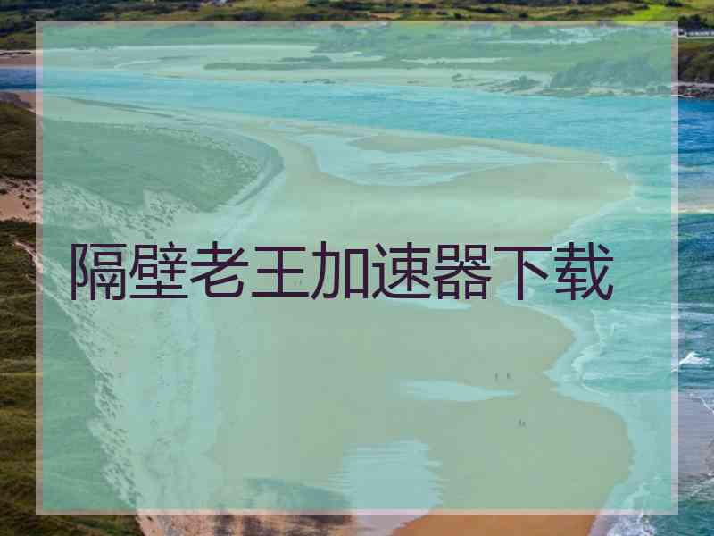 隔壁老王加速器下载