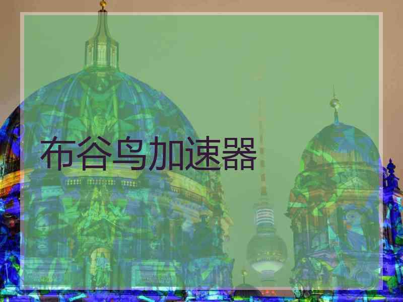布谷鸟加速器