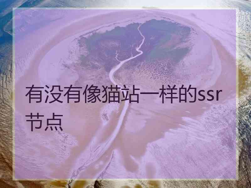 有没有像猫站一样的ssr节点