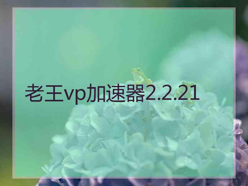 老王vp加速器2.2.21