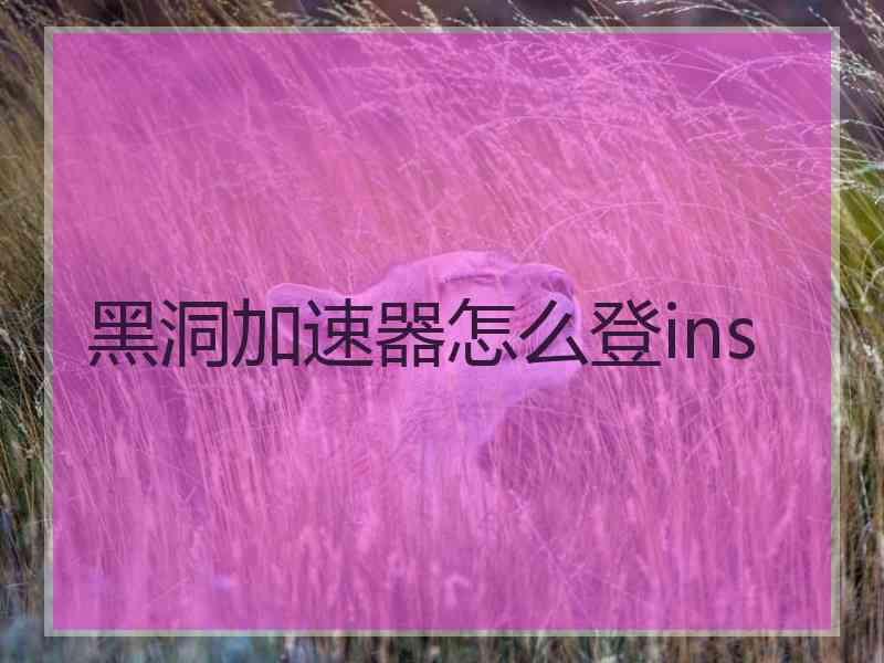 黑洞加速器怎么登ins