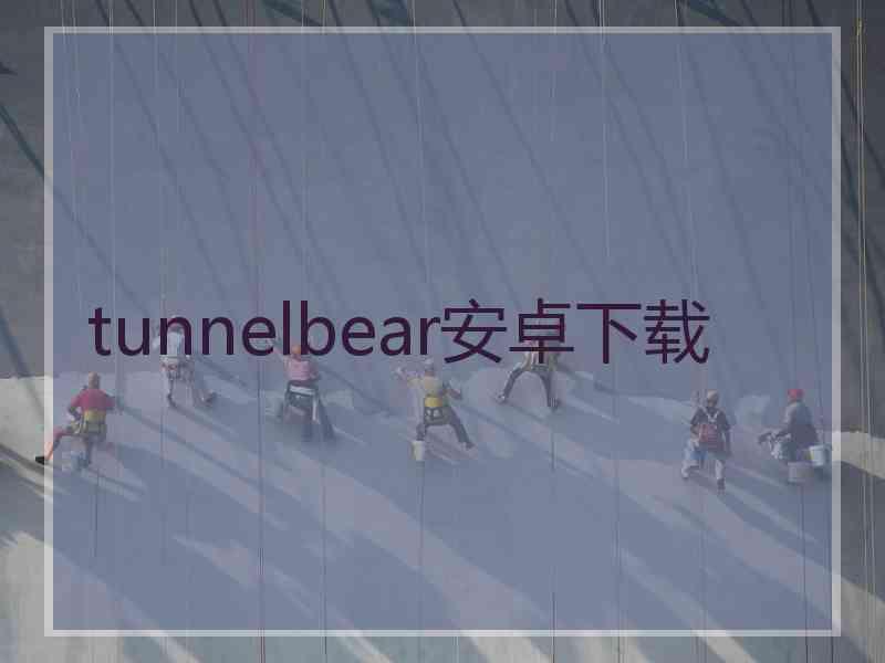 tunnelbear安卓下载
