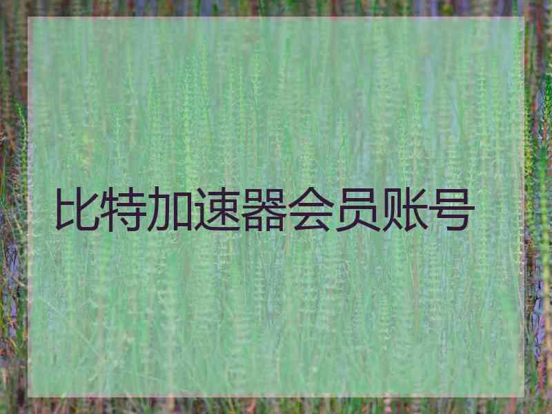 比特加速器会员账号