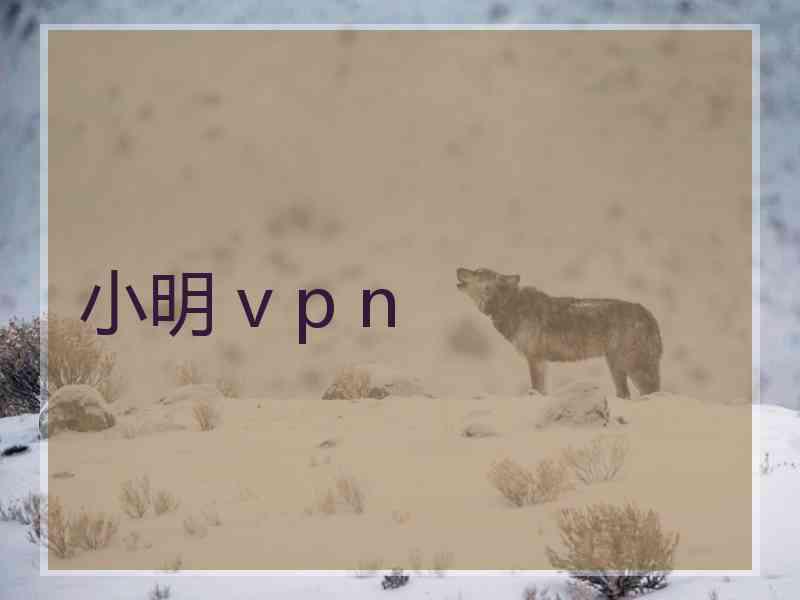 小明 v p n