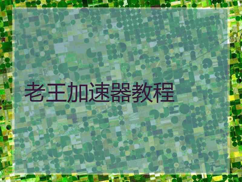 老王加速器教程