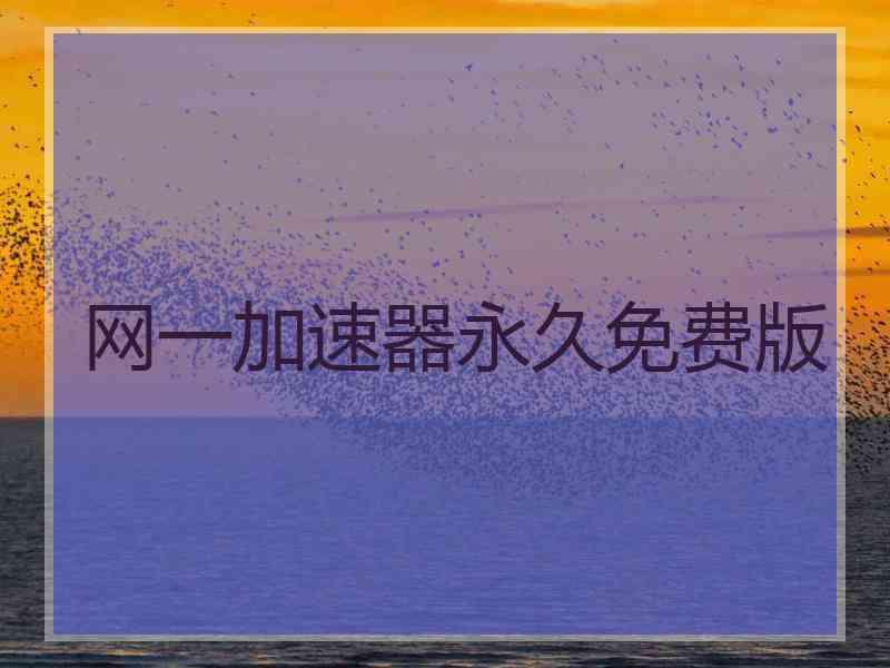 网一加速器永久免费版
