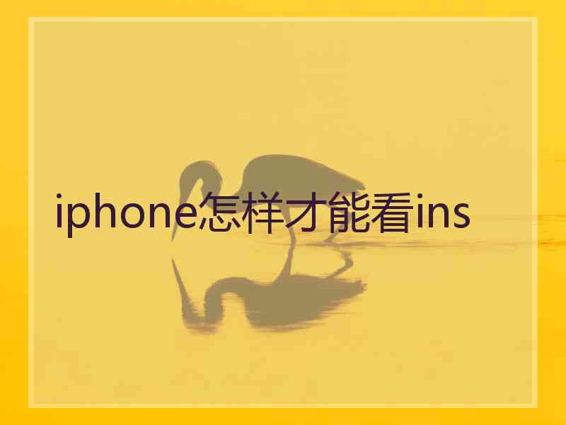 iphone怎样才能看ins