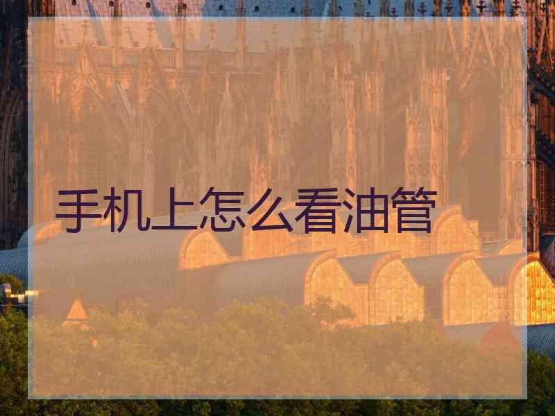 手机上怎么看油管