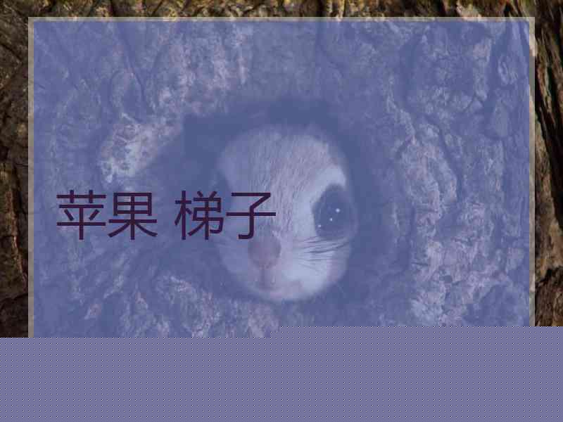 苹果 梯子