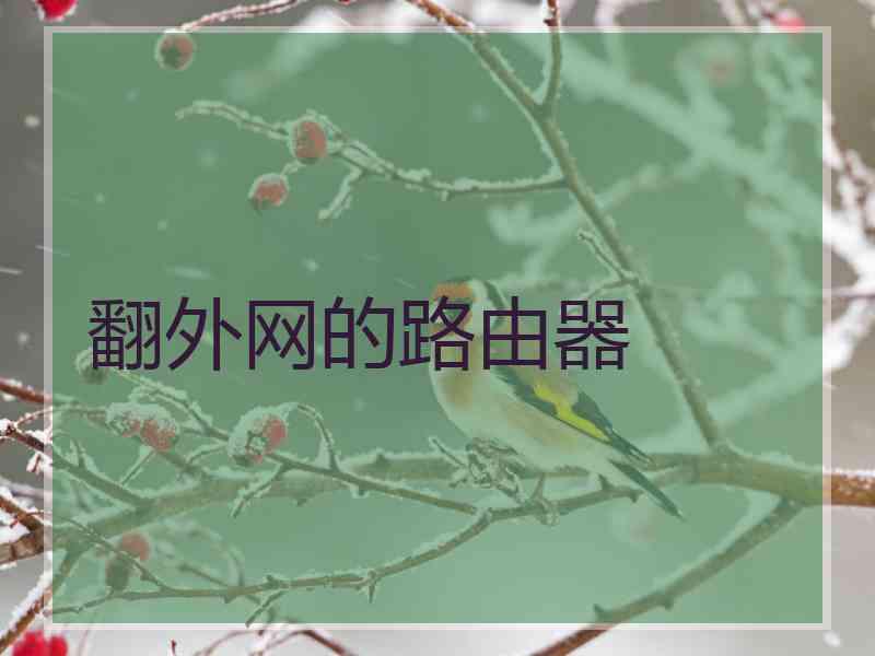 翻外网的路由器