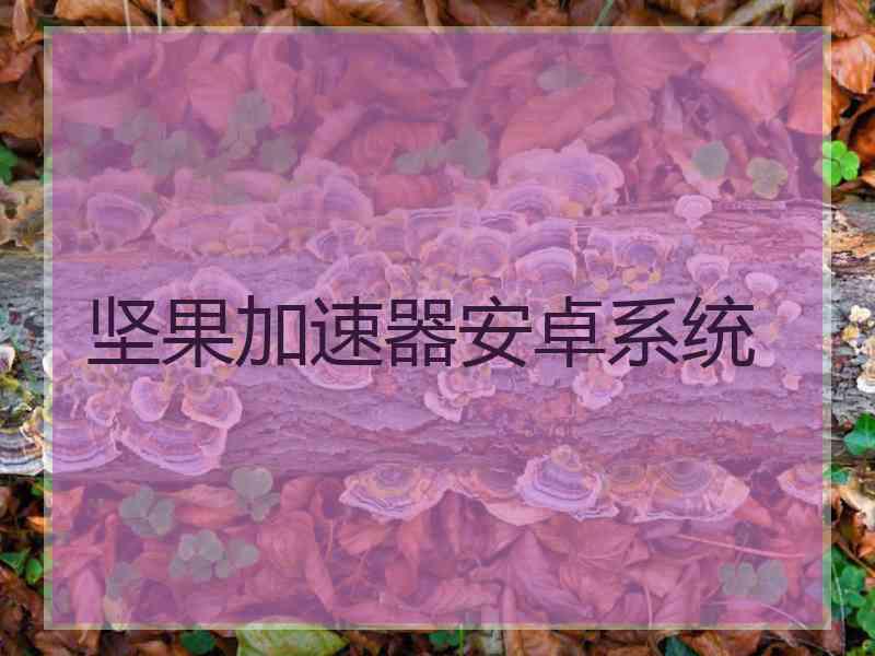 坚果加速器安卓系统