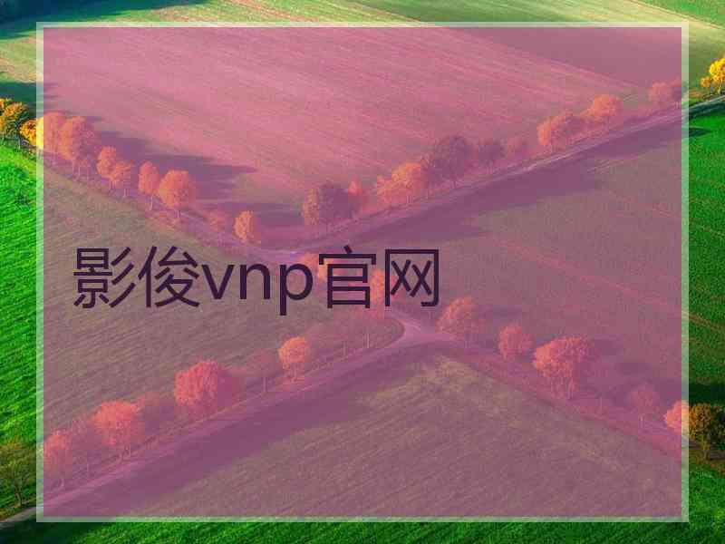 影俊vnp官网