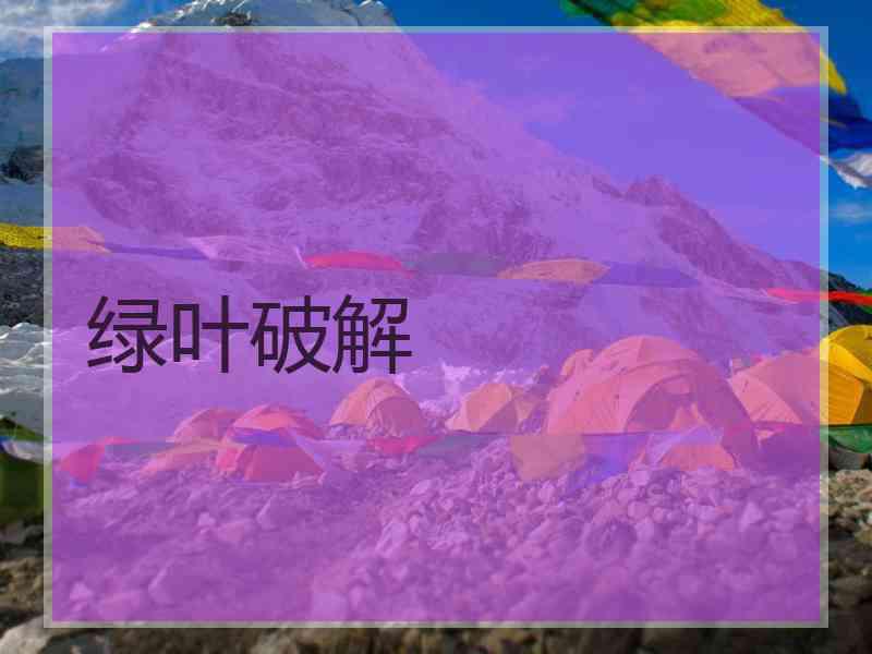 绿叶破解