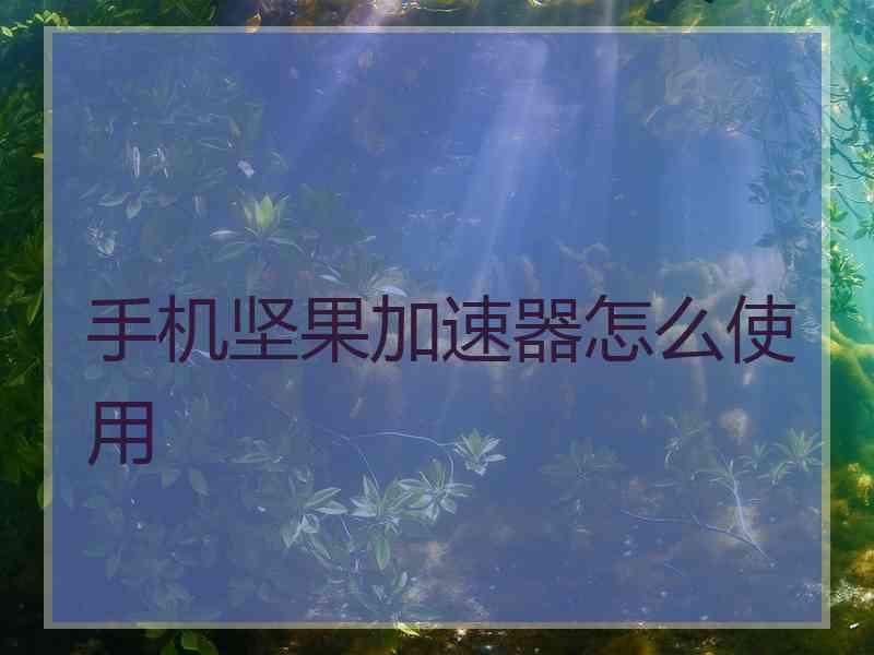 手机坚果加速器怎么使用
