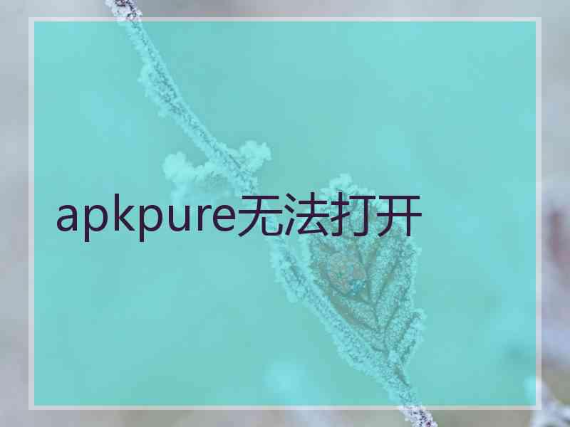 apkpure无法打开