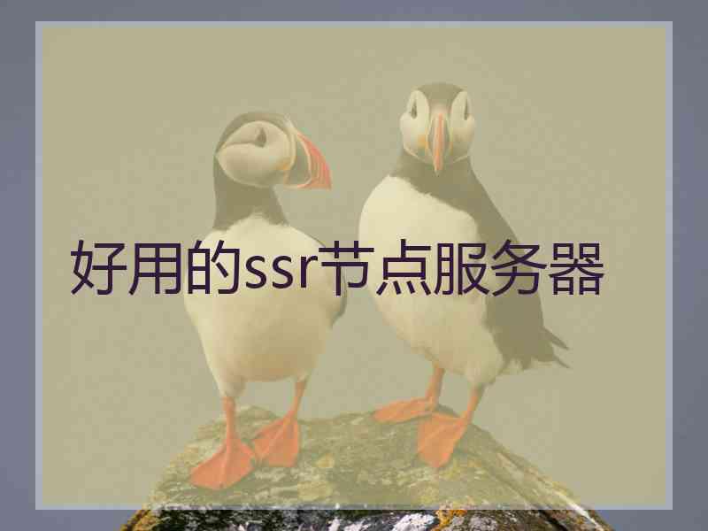 好用的ssr节点服务器