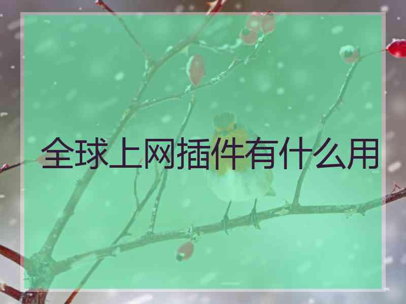 全球上网插件有什么用