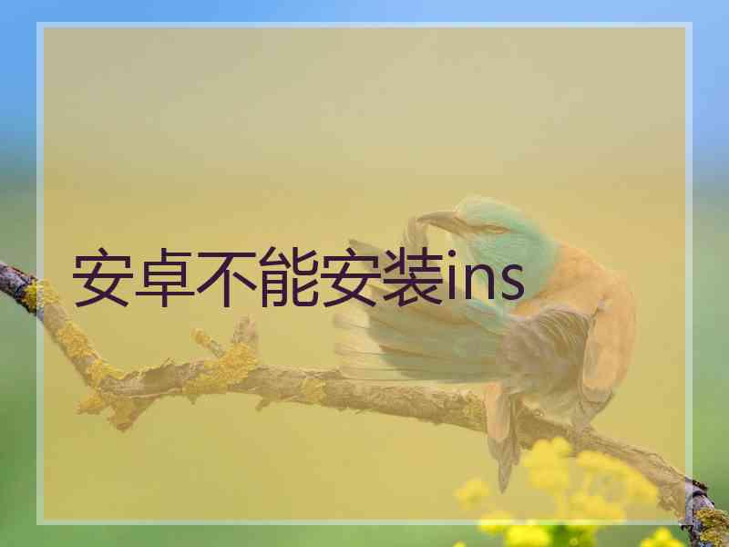 安卓不能安装ins