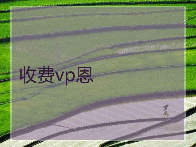 收费vp恩