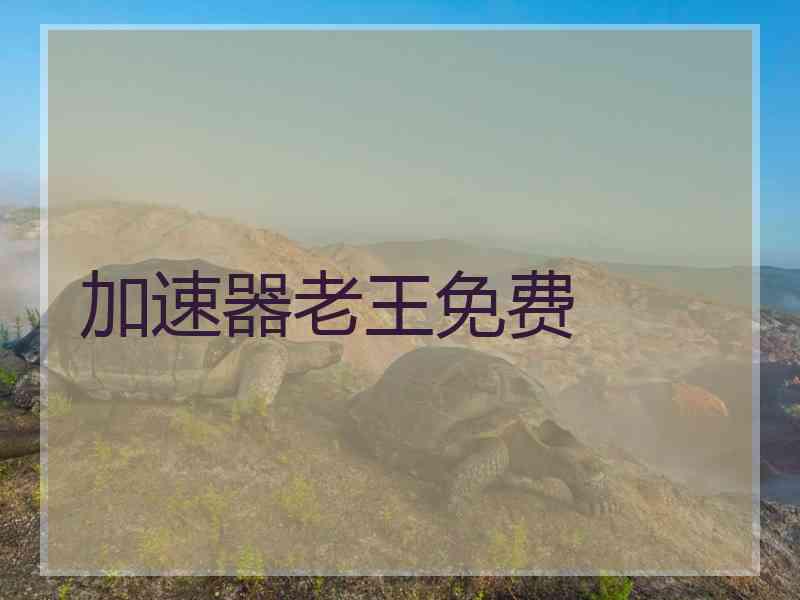 加速器老王免费