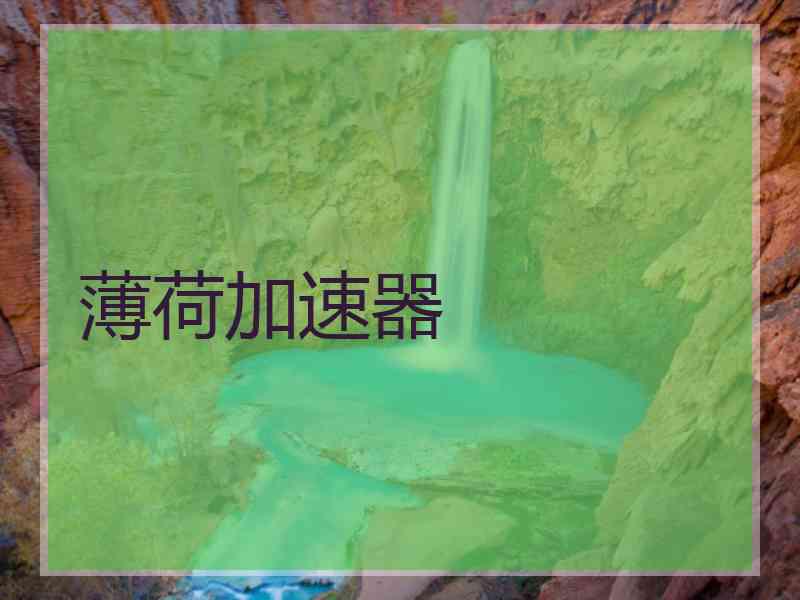 薄荷加速器