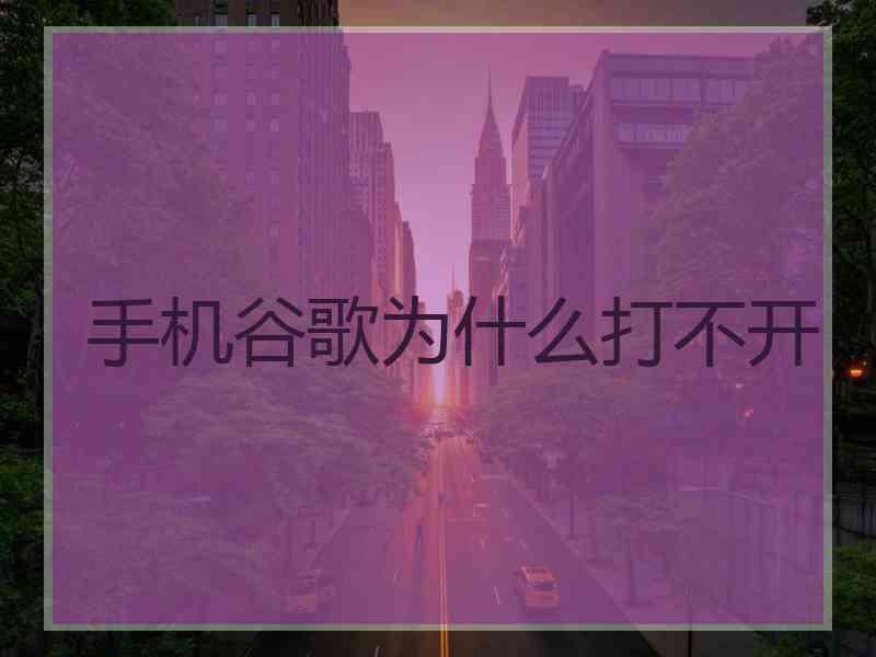 手机谷歌为什么打不开