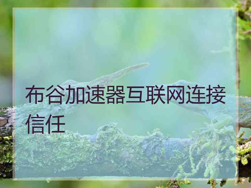 布谷加速器互联网连接信任
