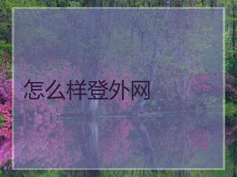 怎么样登外网
